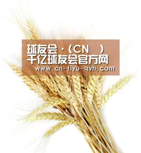 球友会·(CN™)千亿球友会官方网站|QY SPORTS